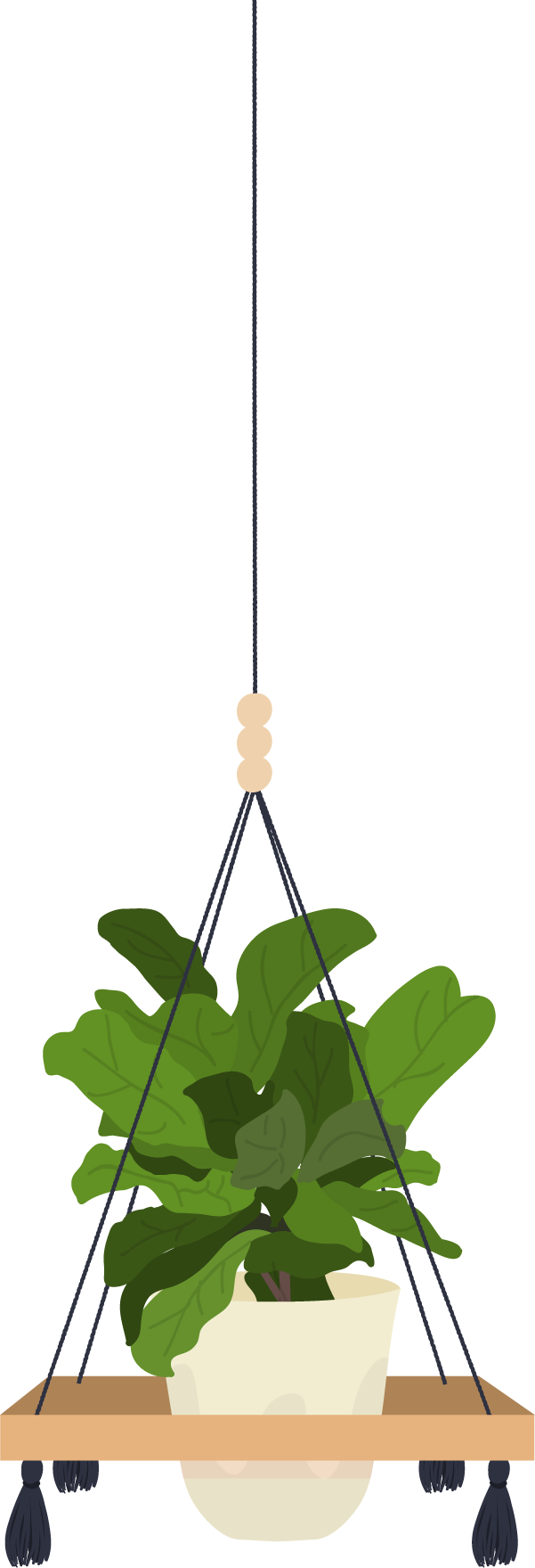 סחלב פלנופסיס - 3 ענפים כולל כלי קרמיקה